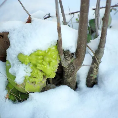 D'hotes Le Poteau Rose * Bayona