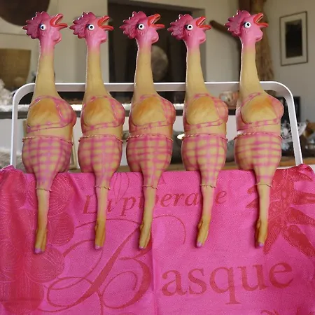 Nocleg ze śniadaniem D'hotes Le Poteau Rose Bajonna