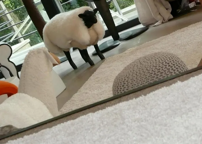 Bed and breakfast D'hotes Le Poteau Rose