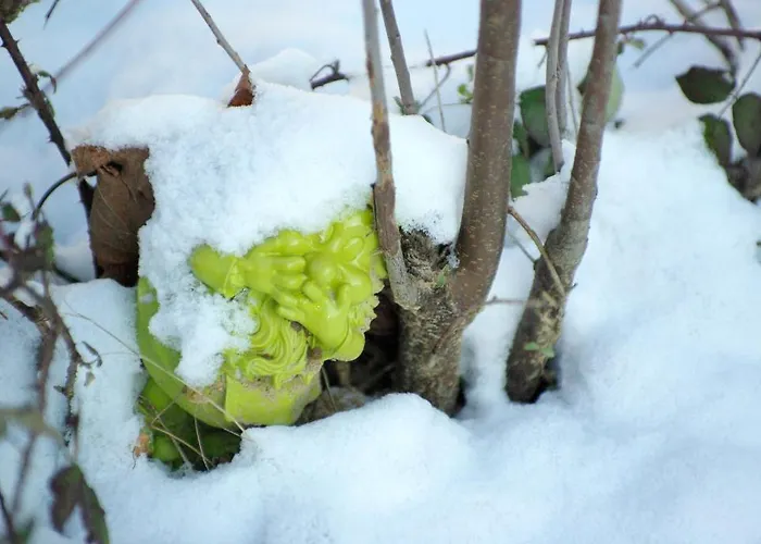 D'hotes Le Poteau Rose * Bayona